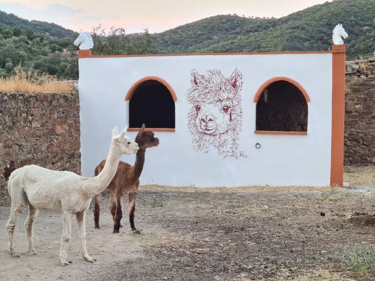 Apartamento Montoro