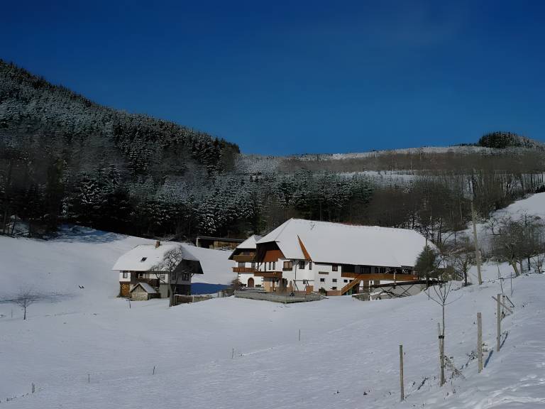 foto14