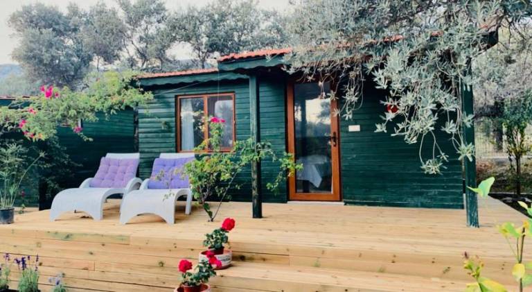 Lodge with garden & terrace — photo 5