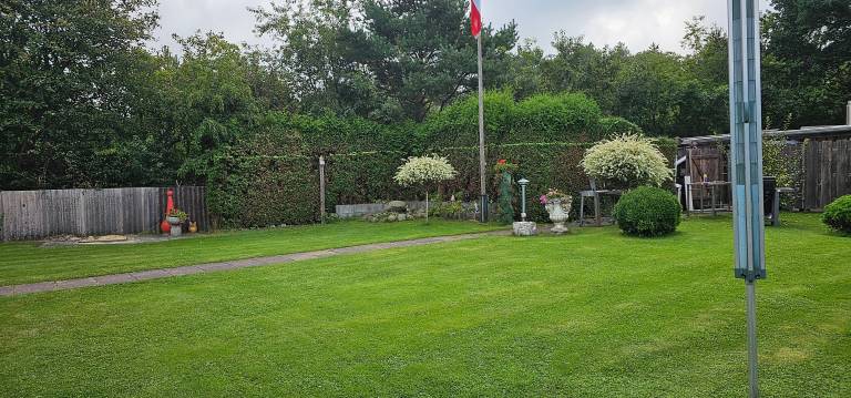 foto17