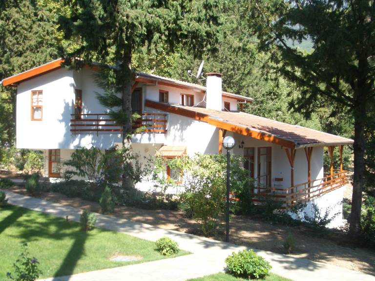 foto8