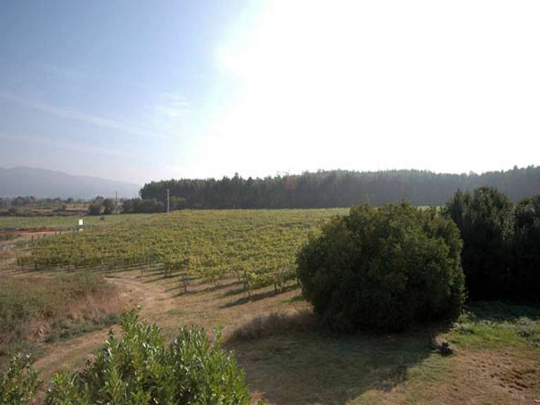 foto8