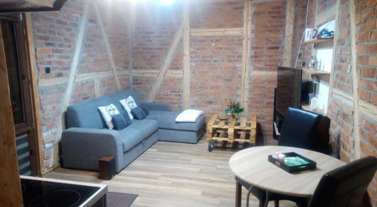 Apartment with BBQ & yard | Dogs allowed — photo 3