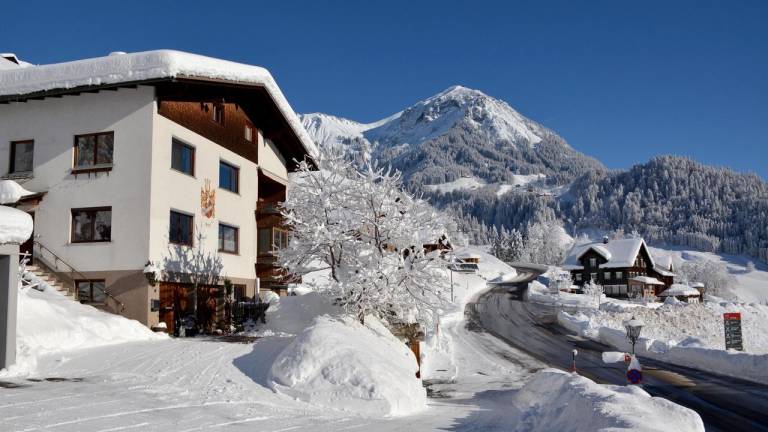 Ferienwohnung Bregenzerwald