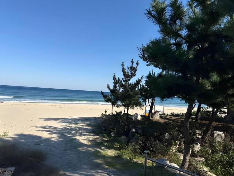 foto48