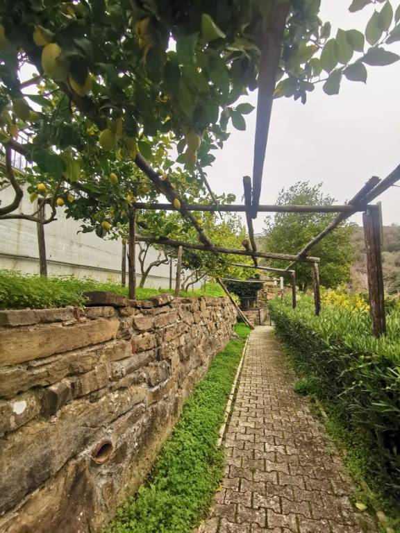 Camera privata Trentinara