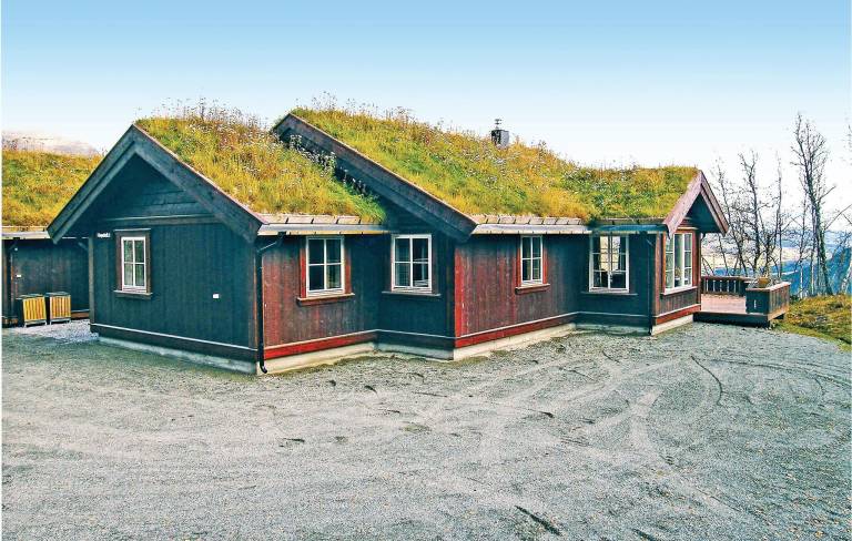 Hus  Hemsedal