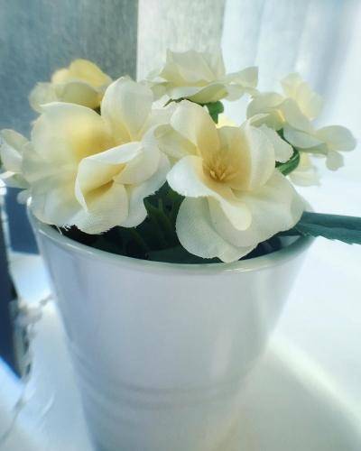 foto16