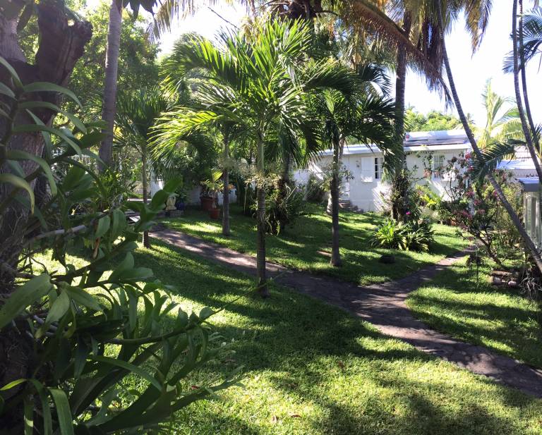 foto6