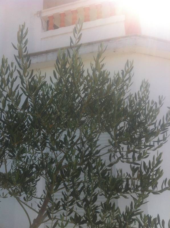 foto9