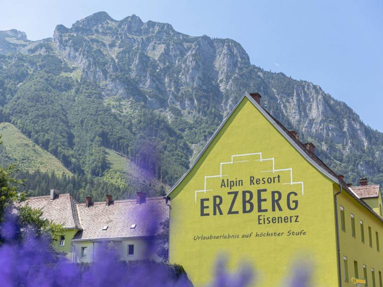 Ferienhaus  Eisenerz