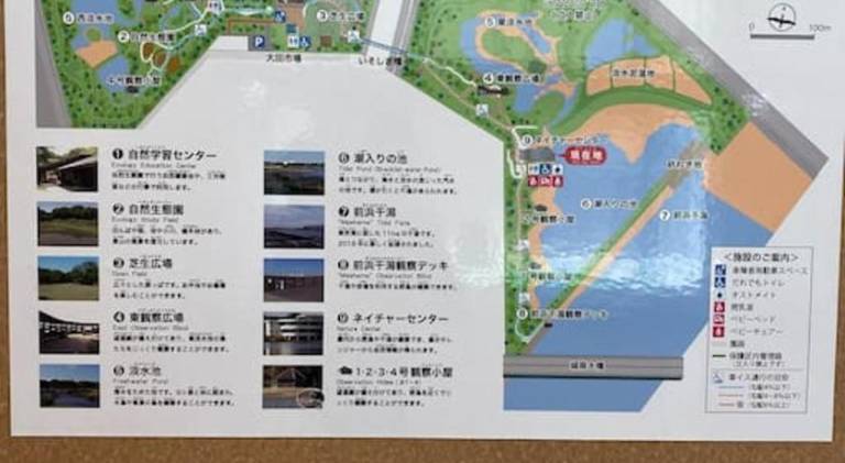 foto11
