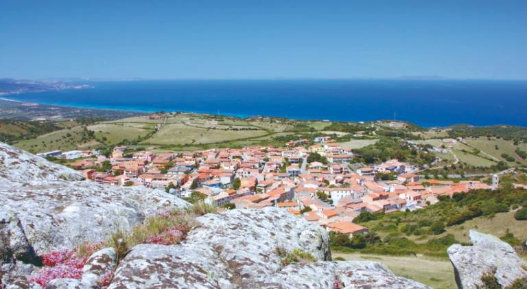 Appartamento vacanza Trinità d'Agultu e Vignola