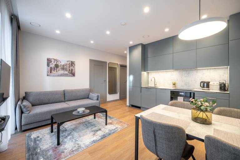 Apartamento Naujamiestis, Vilnius