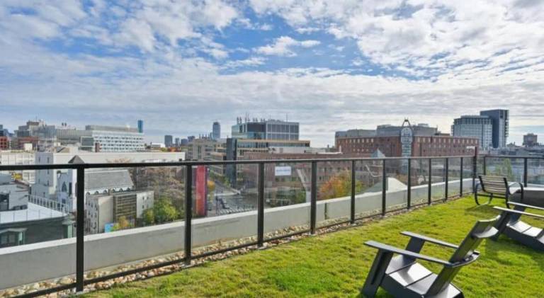Nice rental apartment | Pets are welcome — photo 4