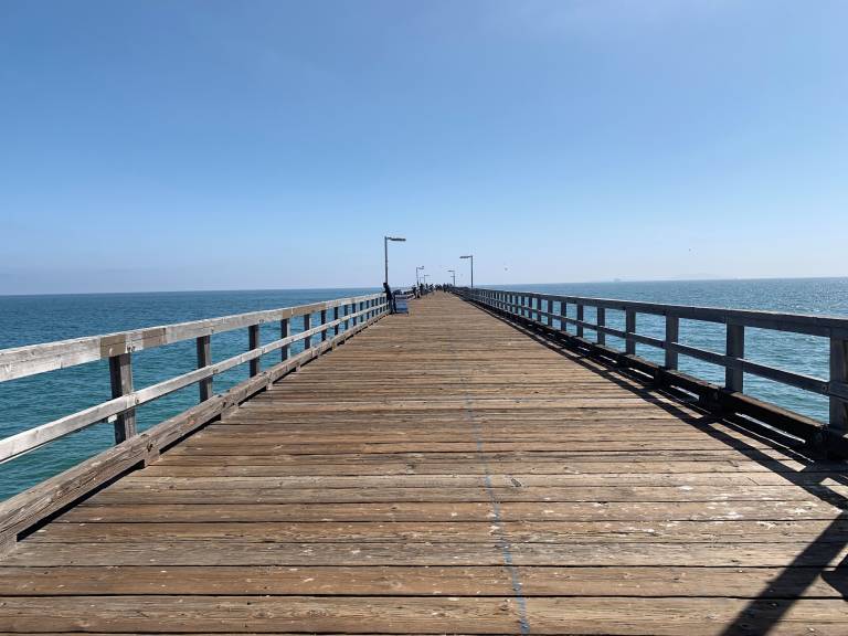 Condo  Ormond Beach