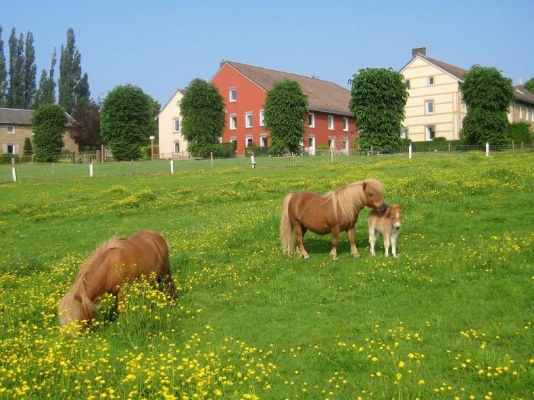 foto11