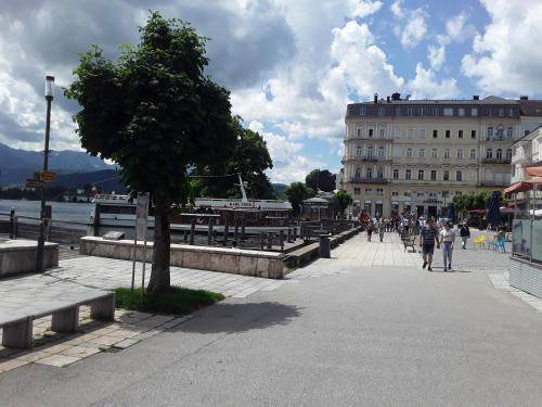 Ferienwohnung Traunsee