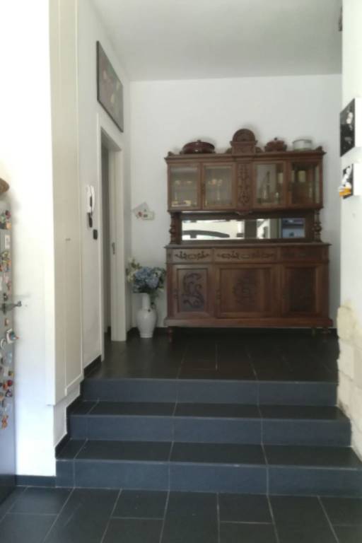 foto50