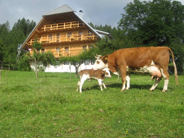 foto6