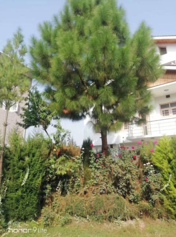 Huis Gadaipur