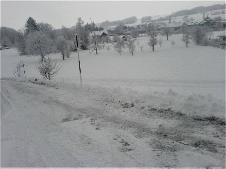 foto42