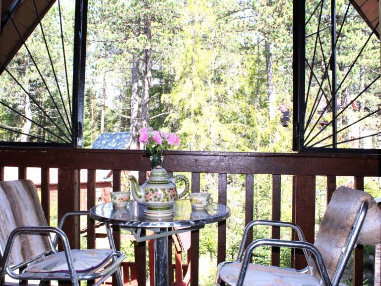 Wonderful house with yard, terrace & sauna | Mountain view | Pet-friendly — photo 5