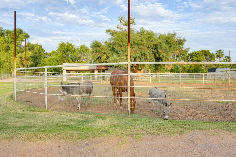 Family Home on > 2 Acres w/ Stables in Gilbert! — photo 3