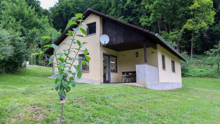 Ferienhaus  Ebermannstadt