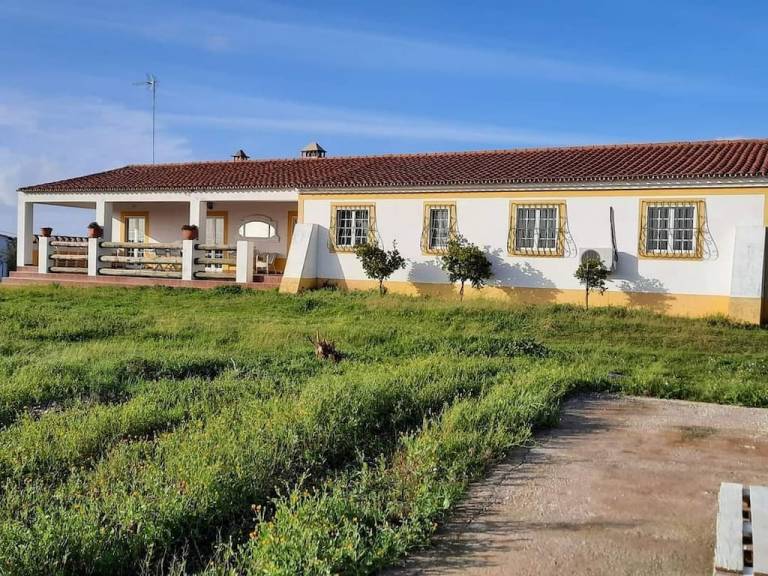 Cottage Amareleja