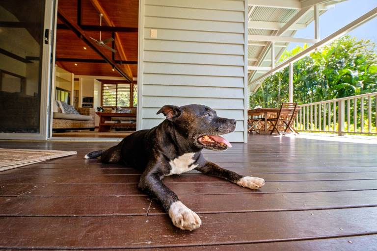 House Mudjimba