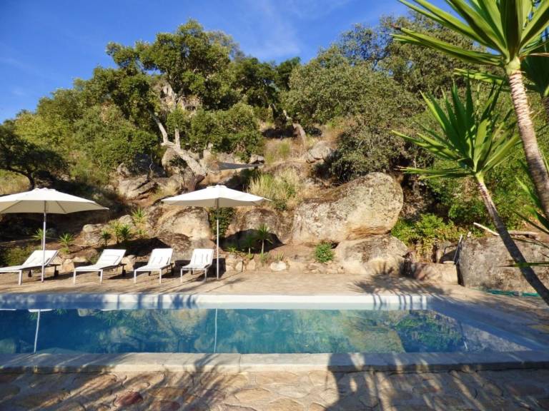 Nice house with terrace, grill & private pool | Nature view | Pets are welcome — photo 3