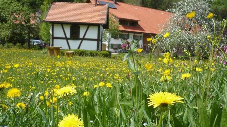 Ferienwohnung  Frauenzell