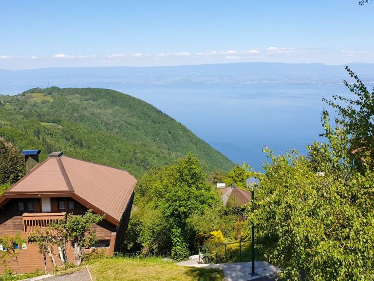 Chalet Thollon-les-Mémises
