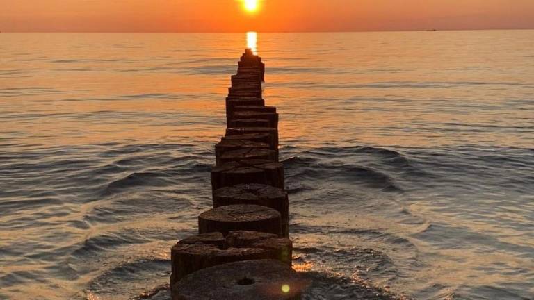 Ferienwohnung  Markgrafenheide