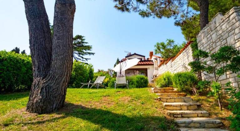 House with barbecue & terrace — photo 5