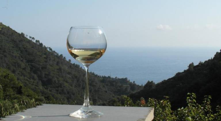 Wonderful farm with patio & yard | Pets are welcome in Vernazza