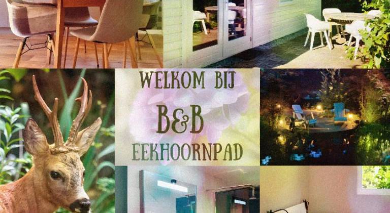 B&B Eekhoornpad