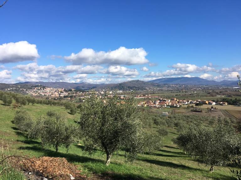 foto11
