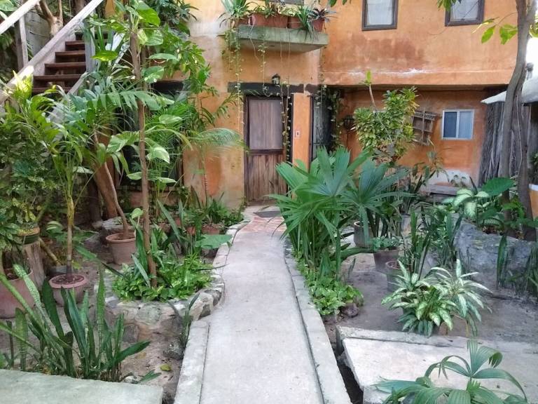 Accommodation Puerto Morelos