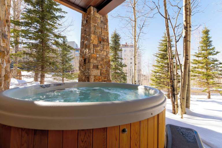 Cabin Telluride