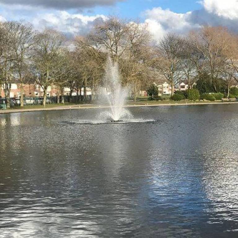 foto13