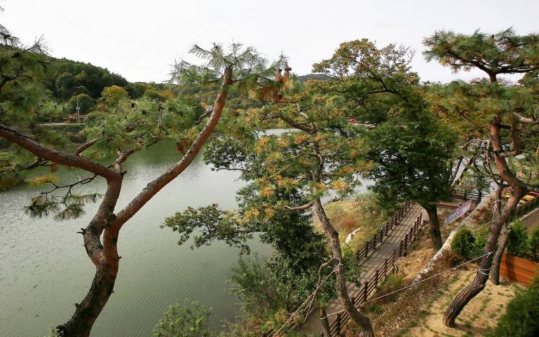 foto13