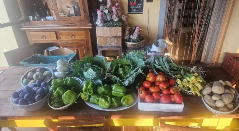 Nice farm with pool, grill & patio | Pets are welcome — photo 4