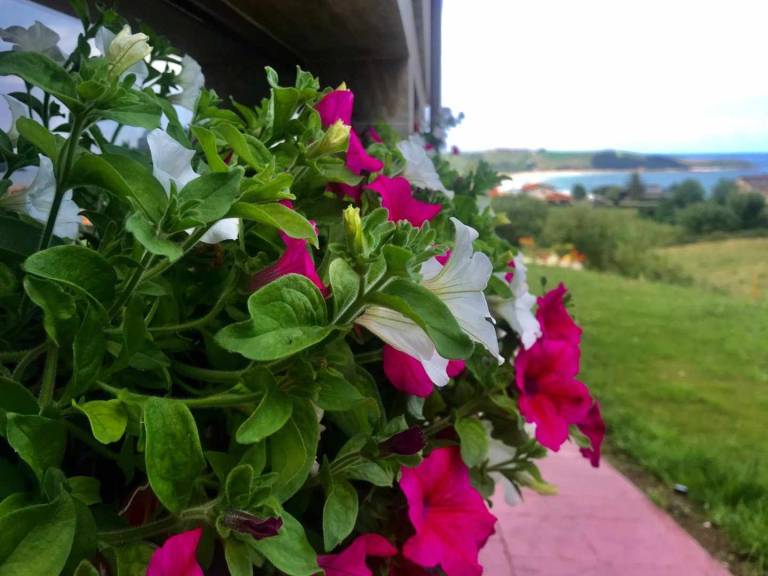 foto15