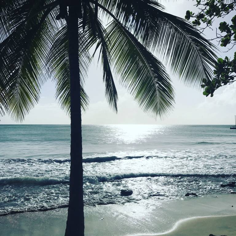 Condo Rincón