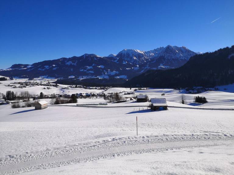 foto16