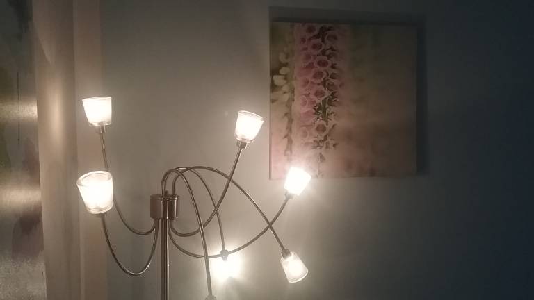 foto11