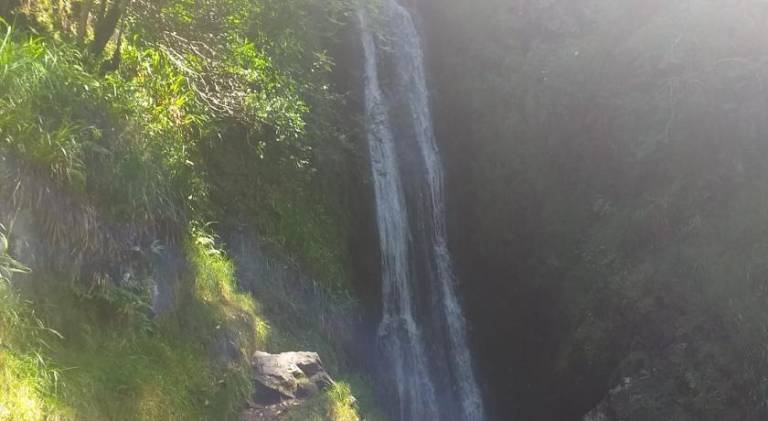 foto43