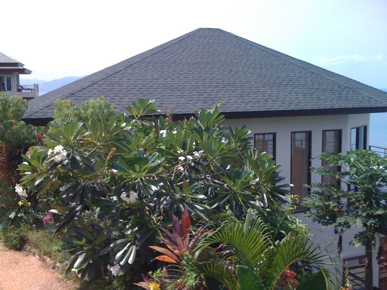 foto1